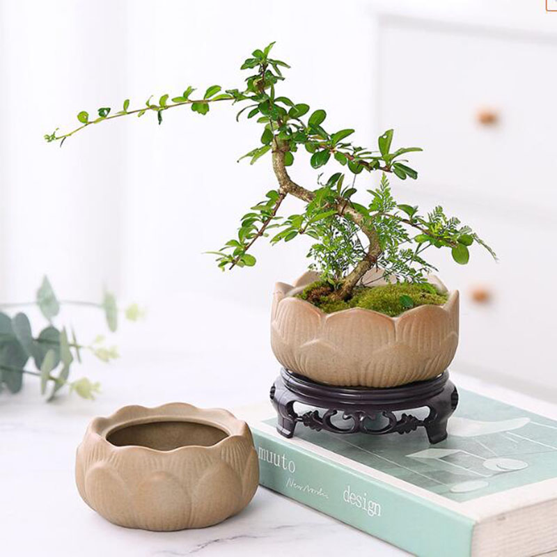 Bonsai Garden Art - Cerâmica grossa Lotus Green Plant Pot,