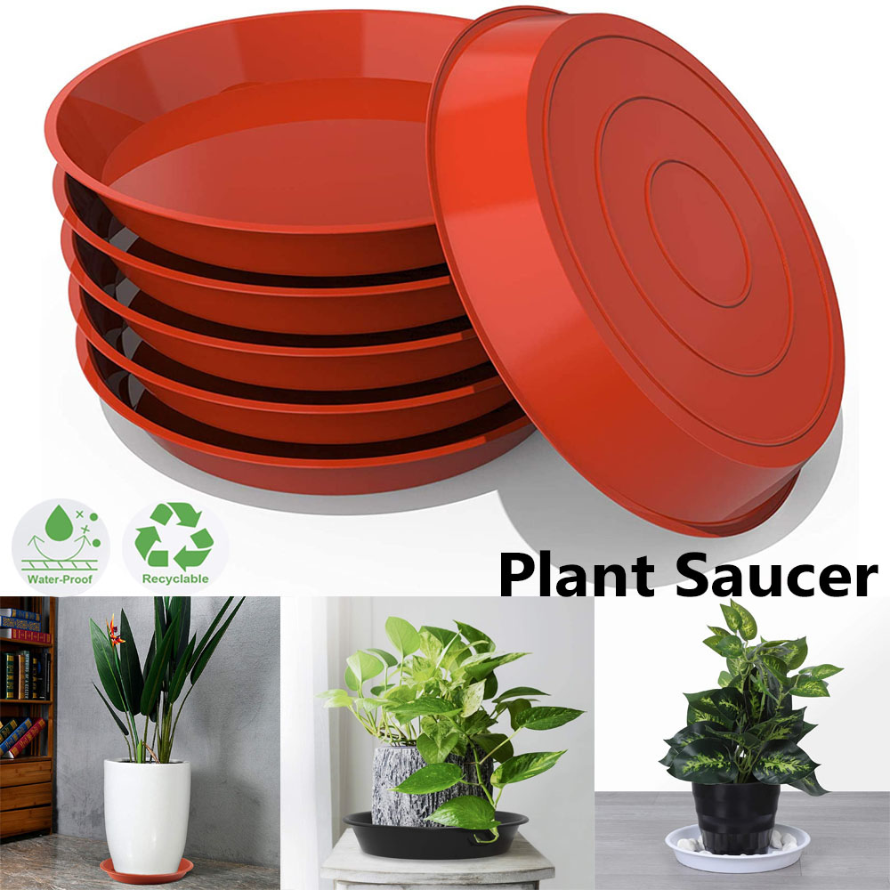 Drip Tray Saucer - Conjunto de 3 Peças de Bandejas