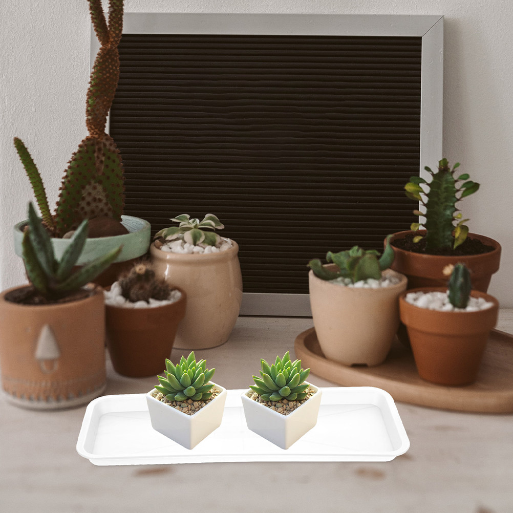 5 unidades de bandeja retangul - Drip Tray Saucer avaliação e preço